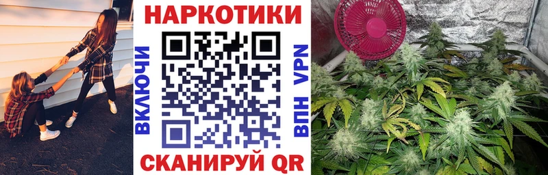 Наркотические вещества Кириши Псилоцибиновые грибы  А ПВП  Гашиш  МАРИХУАНА 