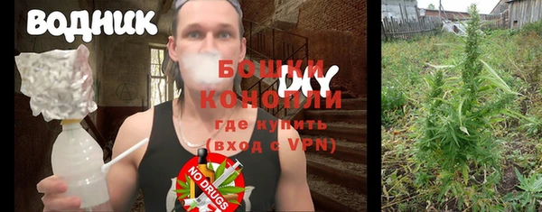 прущие крисы Гатчина