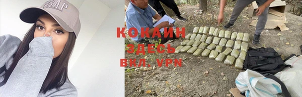 ALPHA PVP Аркадак